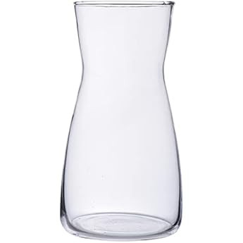 Floral Supply Online 10 5/8" Clear Spring Garden Vase and Flower Guide Booklet - Decorative Glass Fl | Amazon (US)