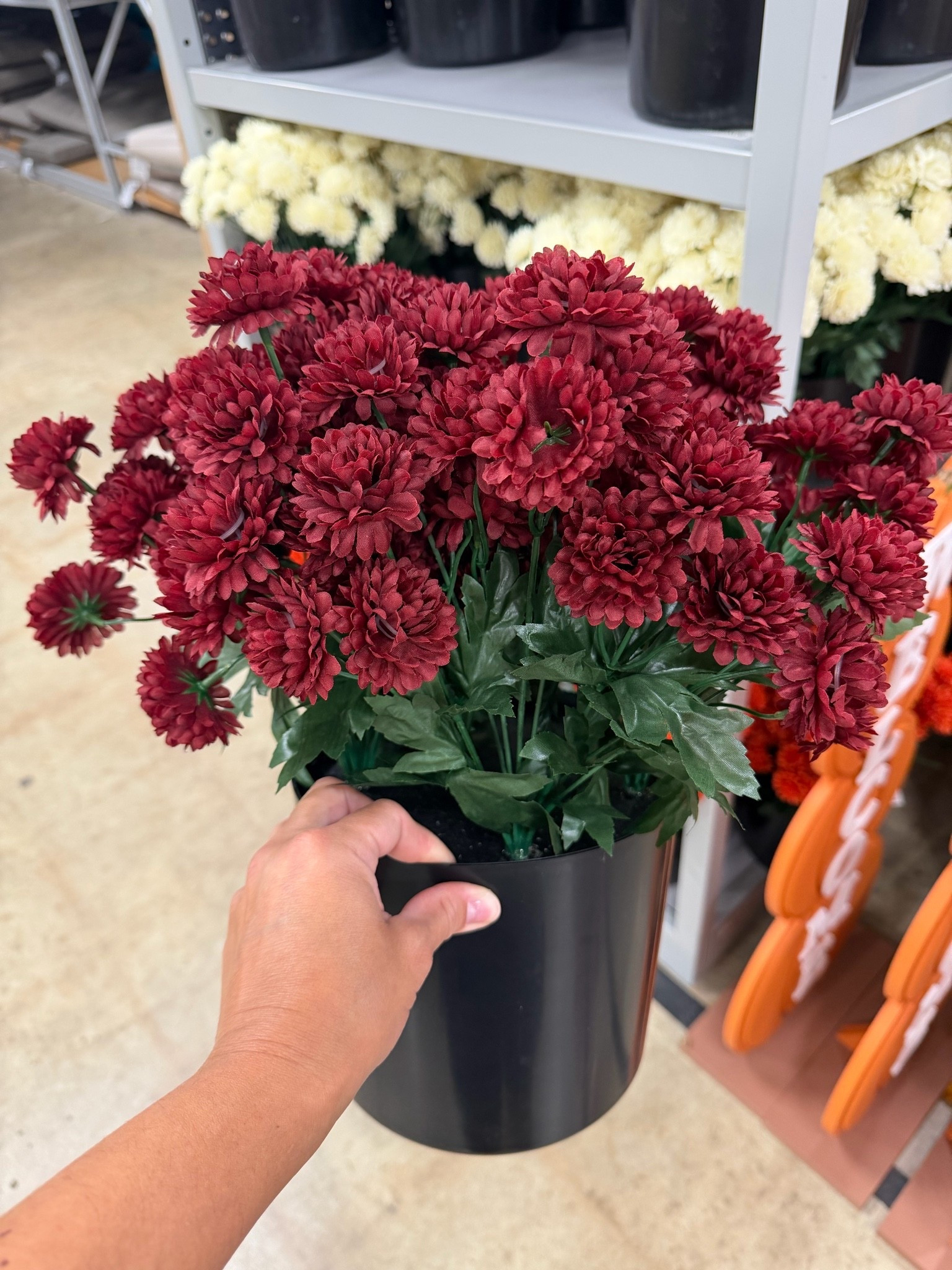 Faux potted mums. They come in 4 color options. #mums #fallflorals #fallplants #falldecor #homedecor #athomestores

#LTKHome #LTKSeasonal