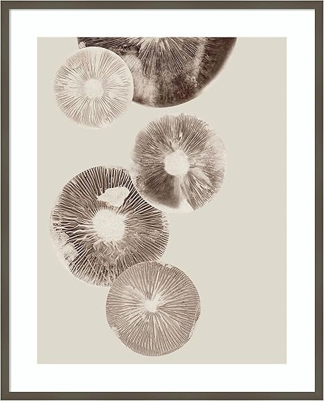 Amanti Art Framed Wall Art Print (33x41) Mushroom 6 Light Brown by Pernille Folcarelli Framed Pos... | Amazon (US)