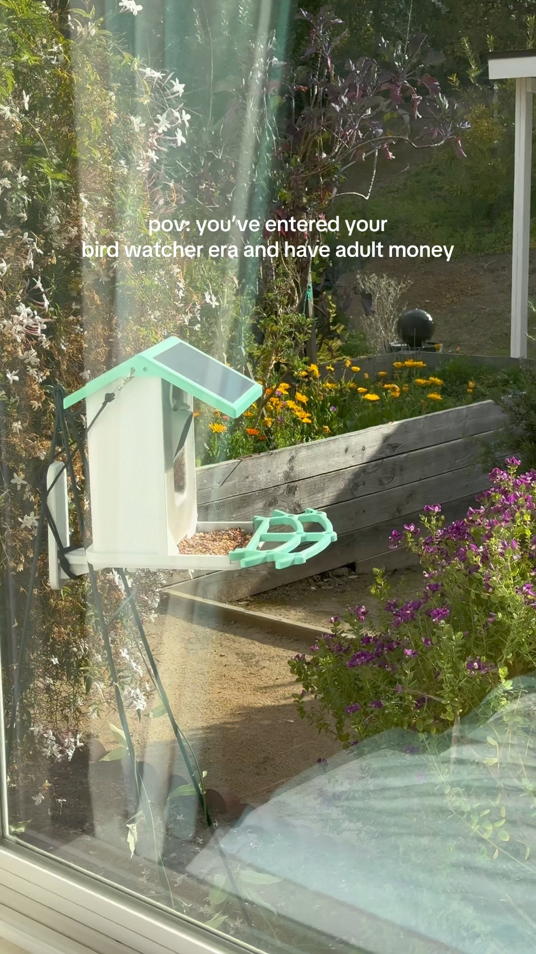 a garden must-have that has changed the vibes in the best way for all parties involved.🐦‍⬛🐦🦜🕊️🏠📷🐱✨

#birdfeeder #birdwatching #birdwatcher #catenrichment #catenrichmentideas #gardendesign #gardenmusthaves #birdfeedercam 

#LTKFindsUnder100 #LTKHome #LTKPets