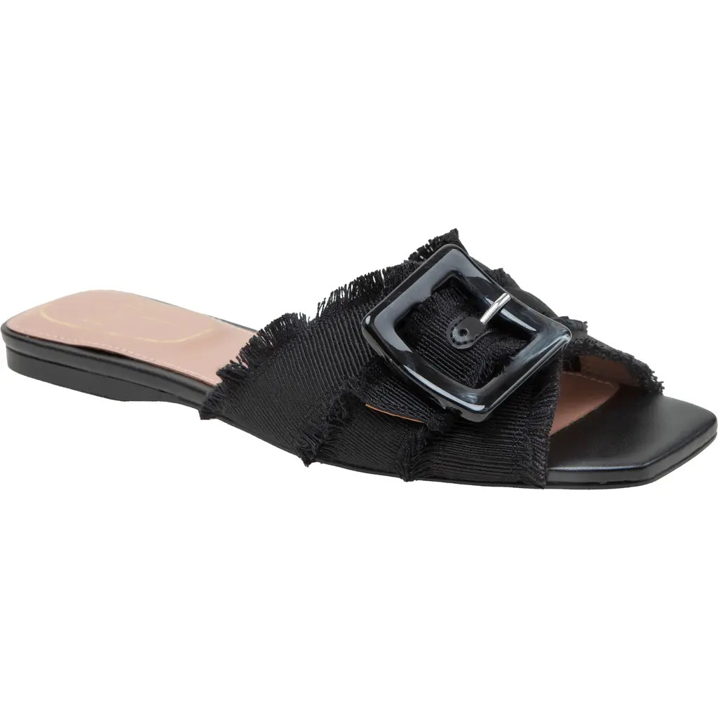 Linea Paolo Lottie Slide Sandal in Black at Nordstrom Rack, Size 5 | Nordstrom Rack