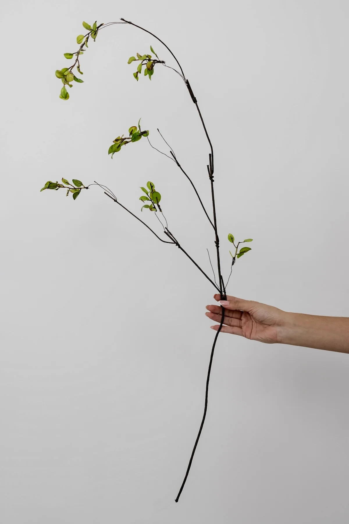 Leafy Stem - 39" | THELIFESTYLEDCO