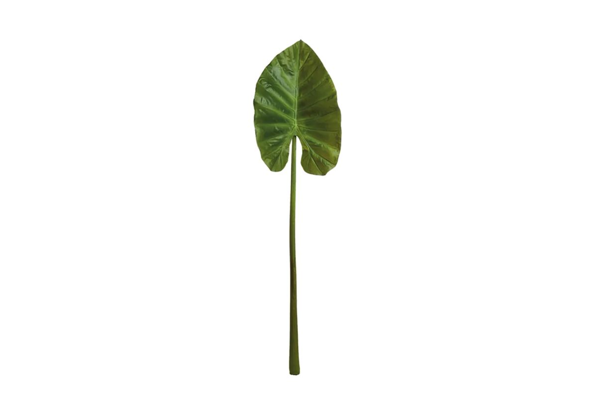 GIANT ELEPHANT EAR STEM | Alice Lane Home Collection
