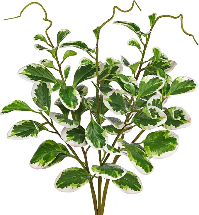 Briful Fake Plants Spring Floral Stems 3PCS Peperomia Tetraphylla Leaf Artificial Branches Faux G... | Amazon (US)