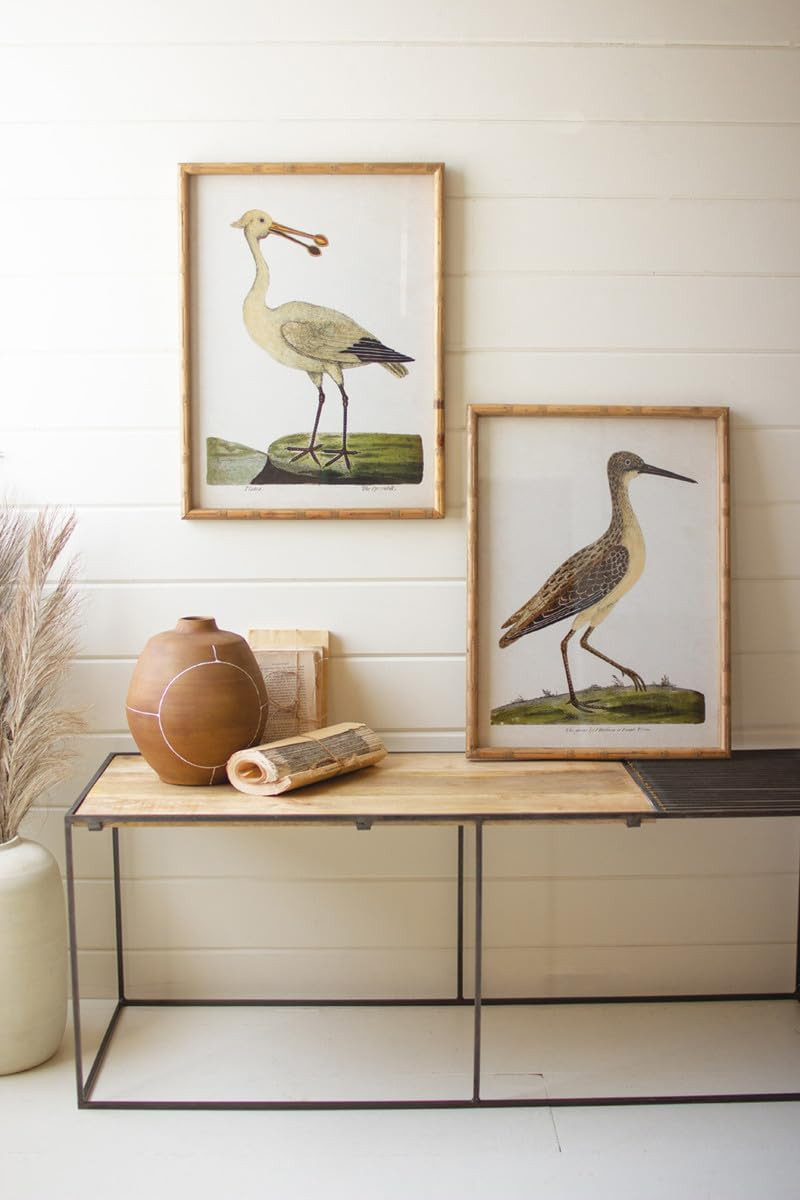 KALALOU CHH1440 Set of Two Framed SHOREBIRDS Under Glass | Amazon (US)