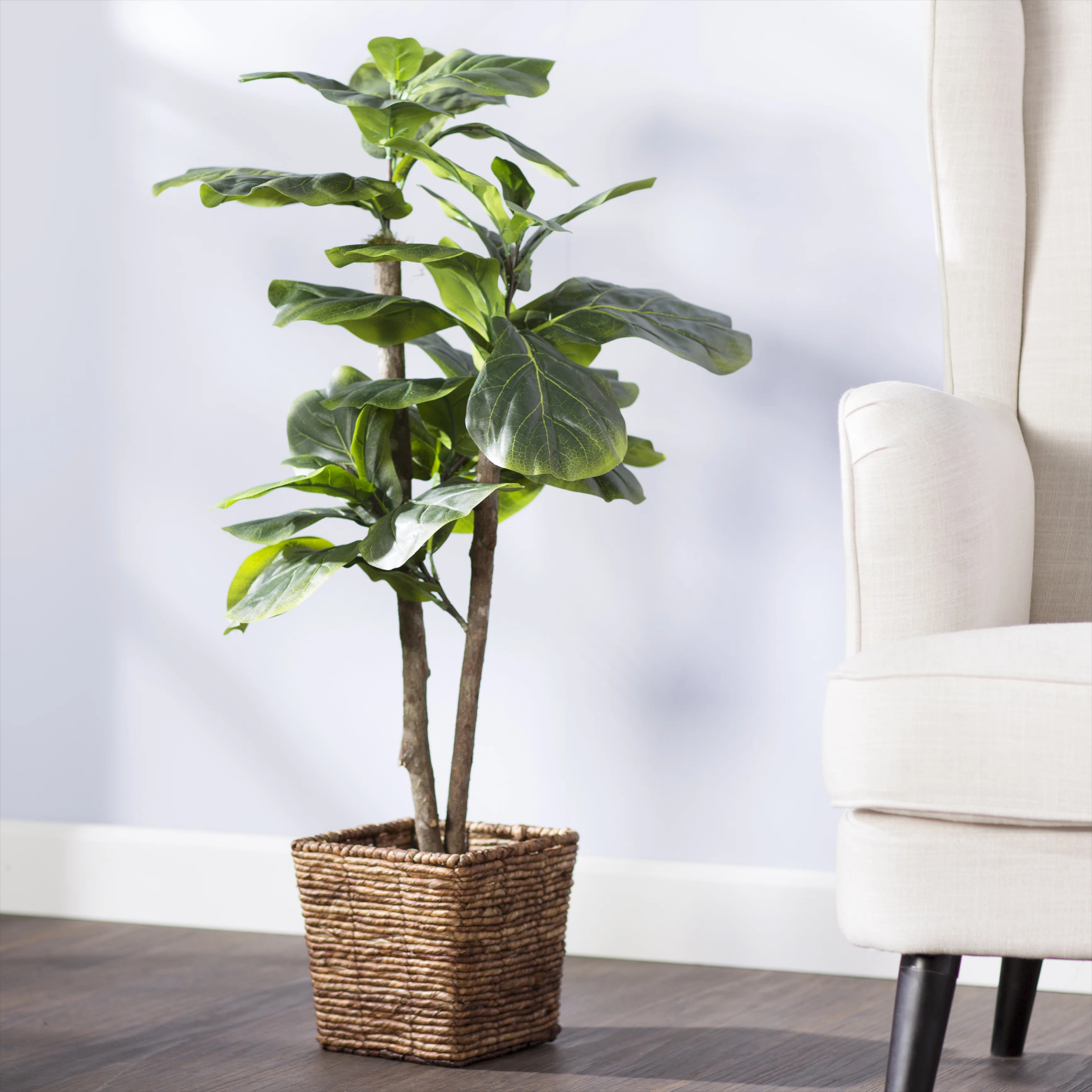 Sand & Stable™ 38.00'' Artificial Mini Fiddle Leaf Fig Tree in Basket & Reviews | Wayfair | Wayfair North America