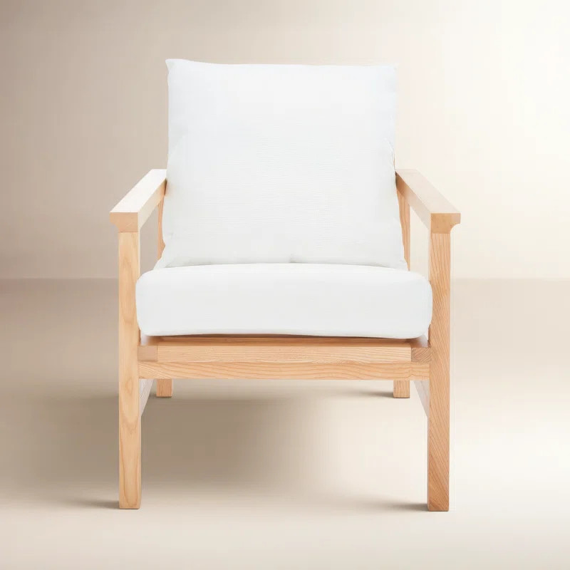 Dianne 27.6" W Armchair | Wayfair North America