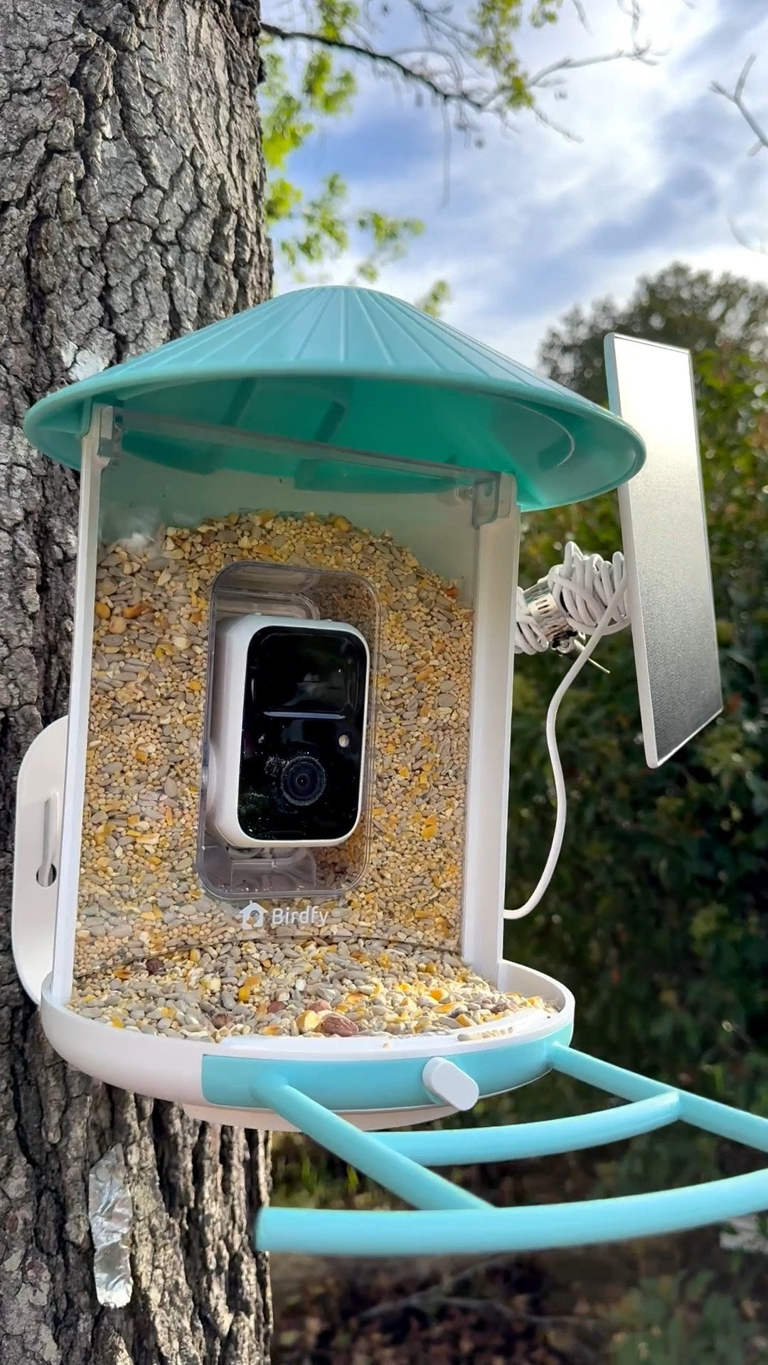 Got the coolest solar-powered bird feeder that you can connect through the Birdfy app & records + notifies you the type of bird that visited!!! 🔗 🦅🐦🌴☀️ #LTKoutside #LTKbackyard #LTKbirds #LTKbird

#LTKHome #LTKvlog #LTKmomlife