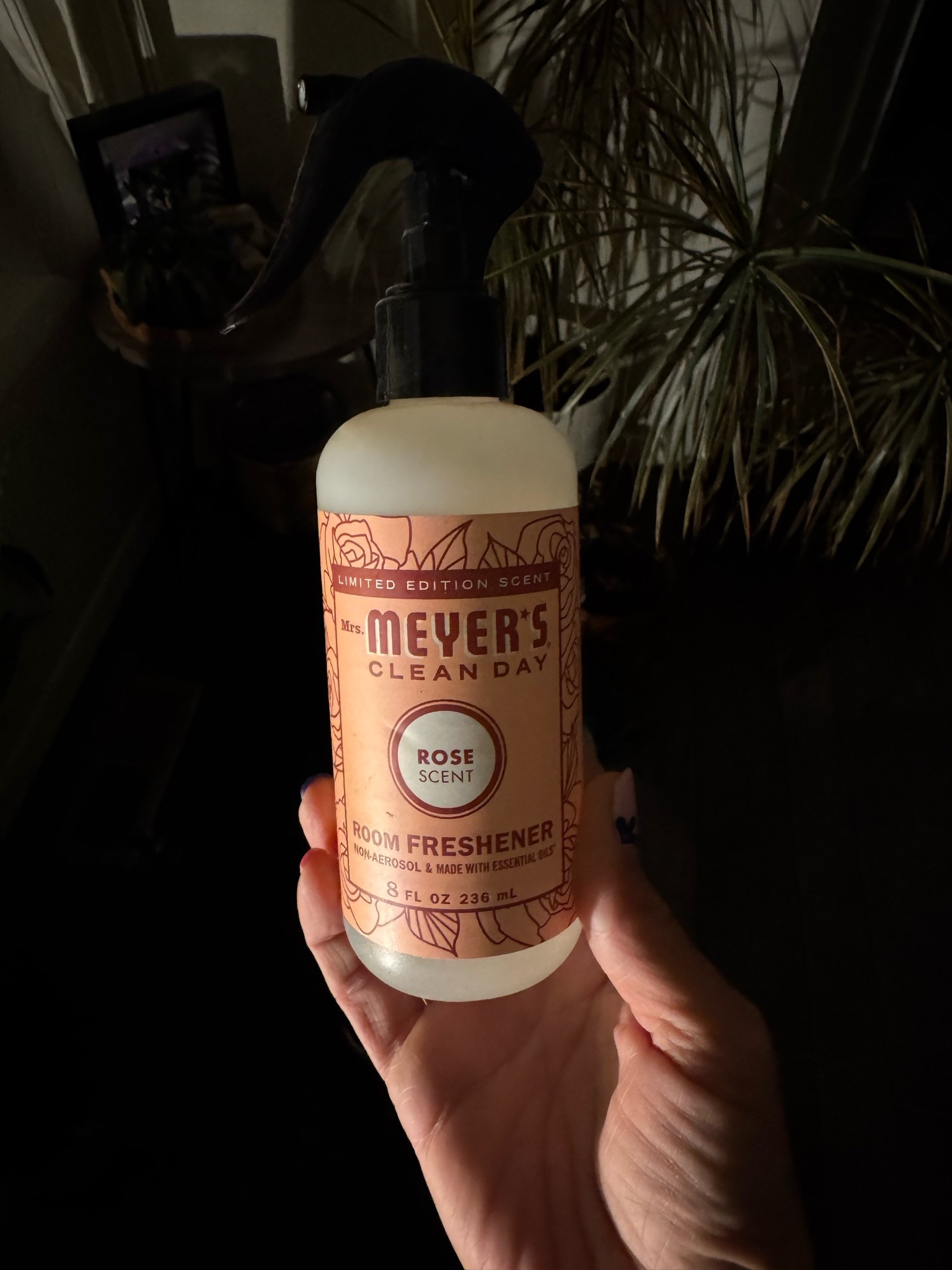 I love this room spray to help liven up a room. It’s a very light scent, but just enough to get a room smelling good.

#LTKmomlife #LTKU #LTKHome