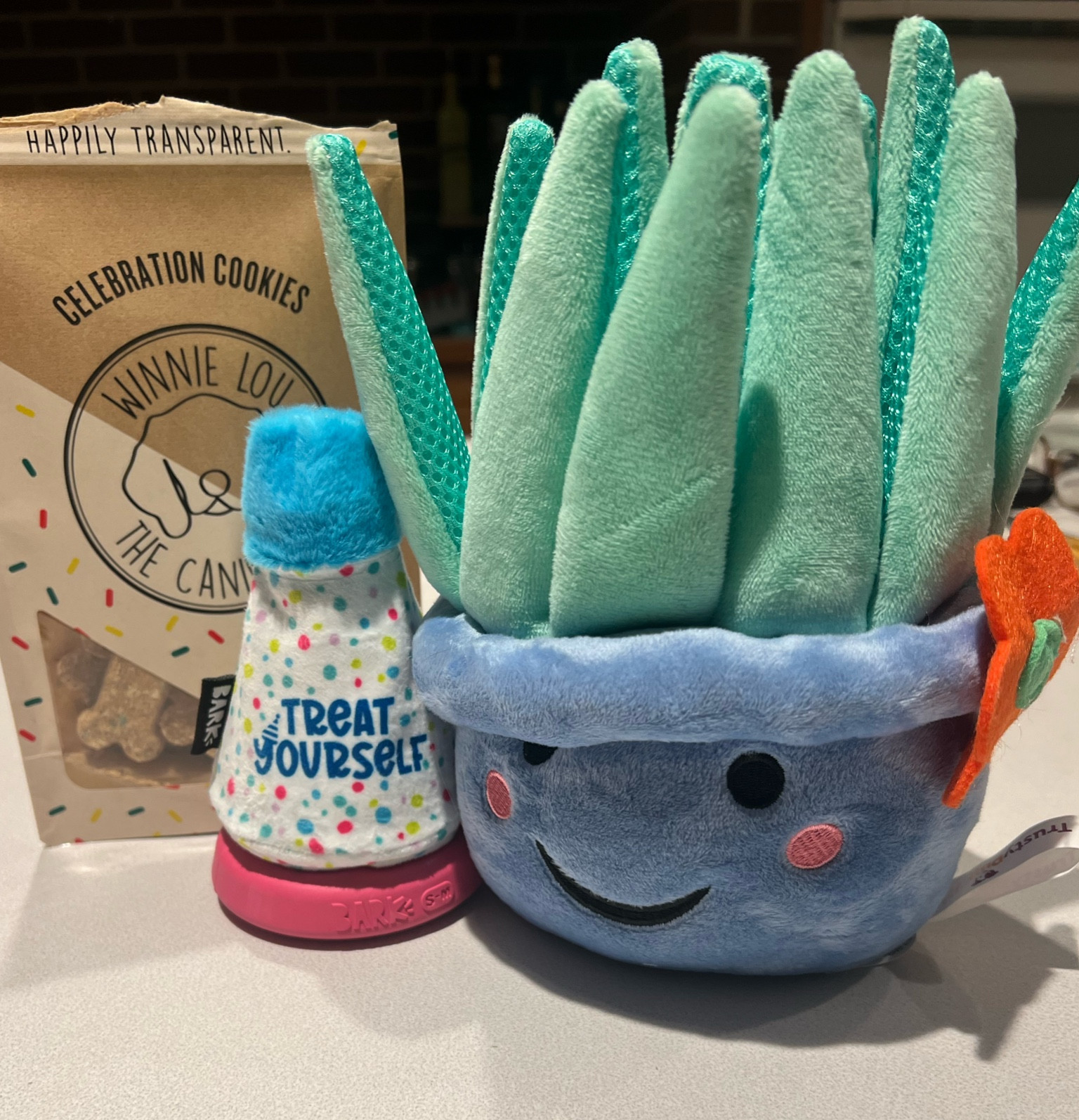 Treat toys for your dogs next birthday!! 

#LTKPets #LTKGiftGuide #LTKHome