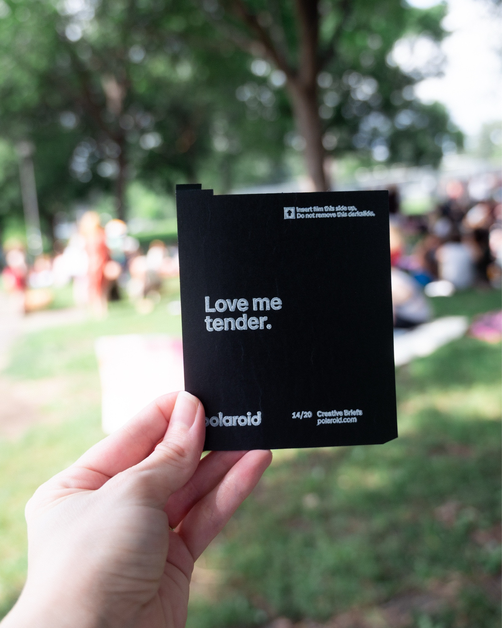 HOW WE CAPTURED THE FIRST EVER MPLS SAPPHICS SOCIAL CLUB!! 

Had so much fun at this gathering of the Minneapolis femme & NB sapphics, and brought along a some of our faveee documentation tools to document it — and we’re so excited to be sharing mems captured!

The Tools We Used:
We kept things simple and portable for this event — perfect for park hangs, candid moments, and chasing golden hour.

Here’s a quick list of the gear we brought along (linked below):

- Nikon Z6 + 24-70mm lens
- Neewer TT560 Camera Flash
- Sony G-series 120GB XQD Memory Cards
- Polaroid Now +
- Polaroid iType Instant Color Film

Note: Some of these links are part of a Walmart Creator affiliate partnership — we only share tools we actually use and buy ourselves. We love being able to recommend accessible gear that does the job without overcomplicating it.