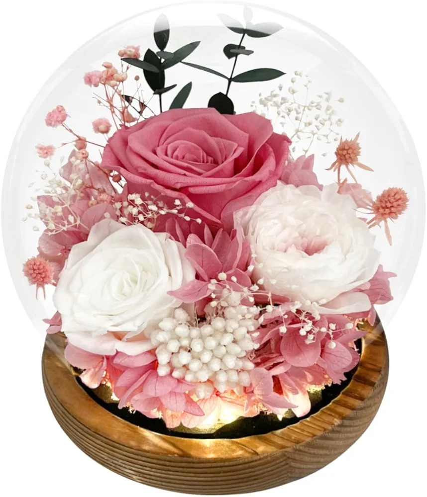 FIACO Valentines Day Gifts for Her Preserved Flowers in Glass Dome Long-Lasting Eternal Rose Birt... | Amazon (US)