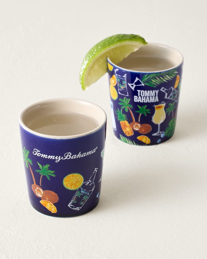 Ceramic Shot Glasses—Set of 2 | Tommy Bahama