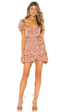 MAJORELLE Shiloh Mini Dress in Red Leopard from Revolve.com | Revolve Clothing (Global)