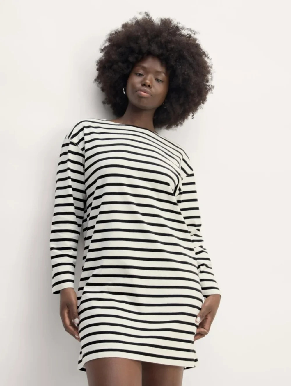 EVERLANE The Mariner Dress | Poshmark