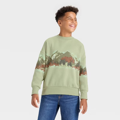Boys' Scenic Graphic Pullover Sweatshirt - art class™ | Target