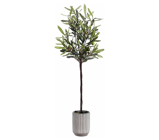 Safavieh Faux-Olive Potted Tree - QVC.com | QVC