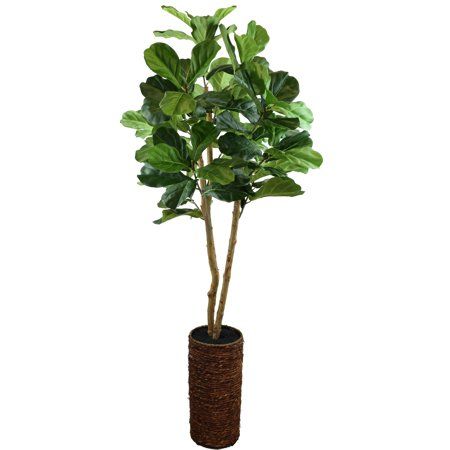 Fiddle Leaf Fig Tree with Basket | Walmart (US)