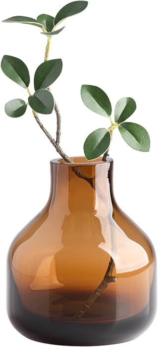 Torre & Tagus Solid Color Round Art Glass Vase for Flowers - 5" Tall Unique Flower Vase, Clear Ha... | Amazon (US)