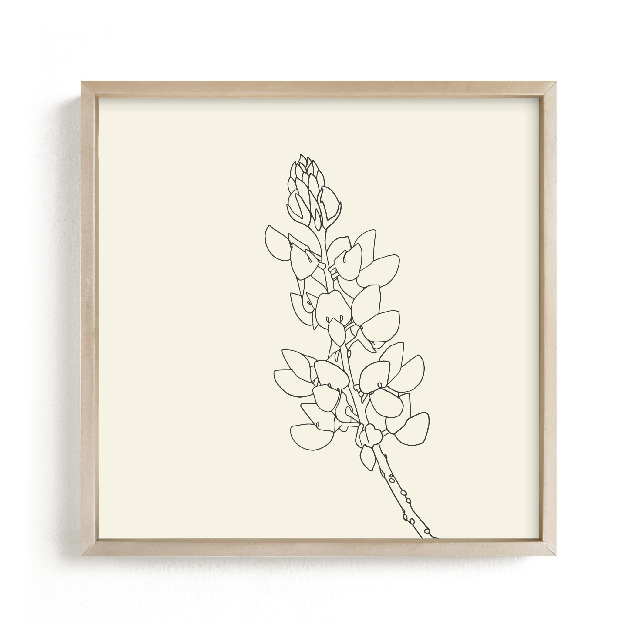 "Lupine" - Drawing Limited Edition Art Print by Jorey Hurley. | Minted