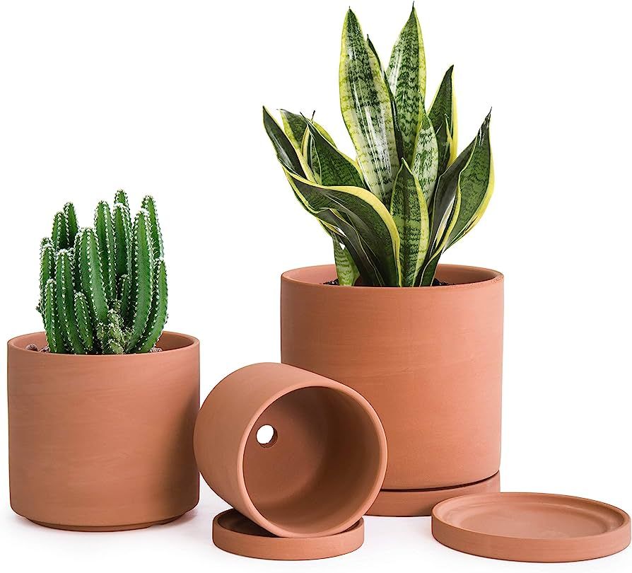 D'vine Dev Terracotta Pots for Plants, 4.2 Inch 5.3 Inch 6.5 Inch, Succulent Planter Pot with Dra... | Amazon (US)