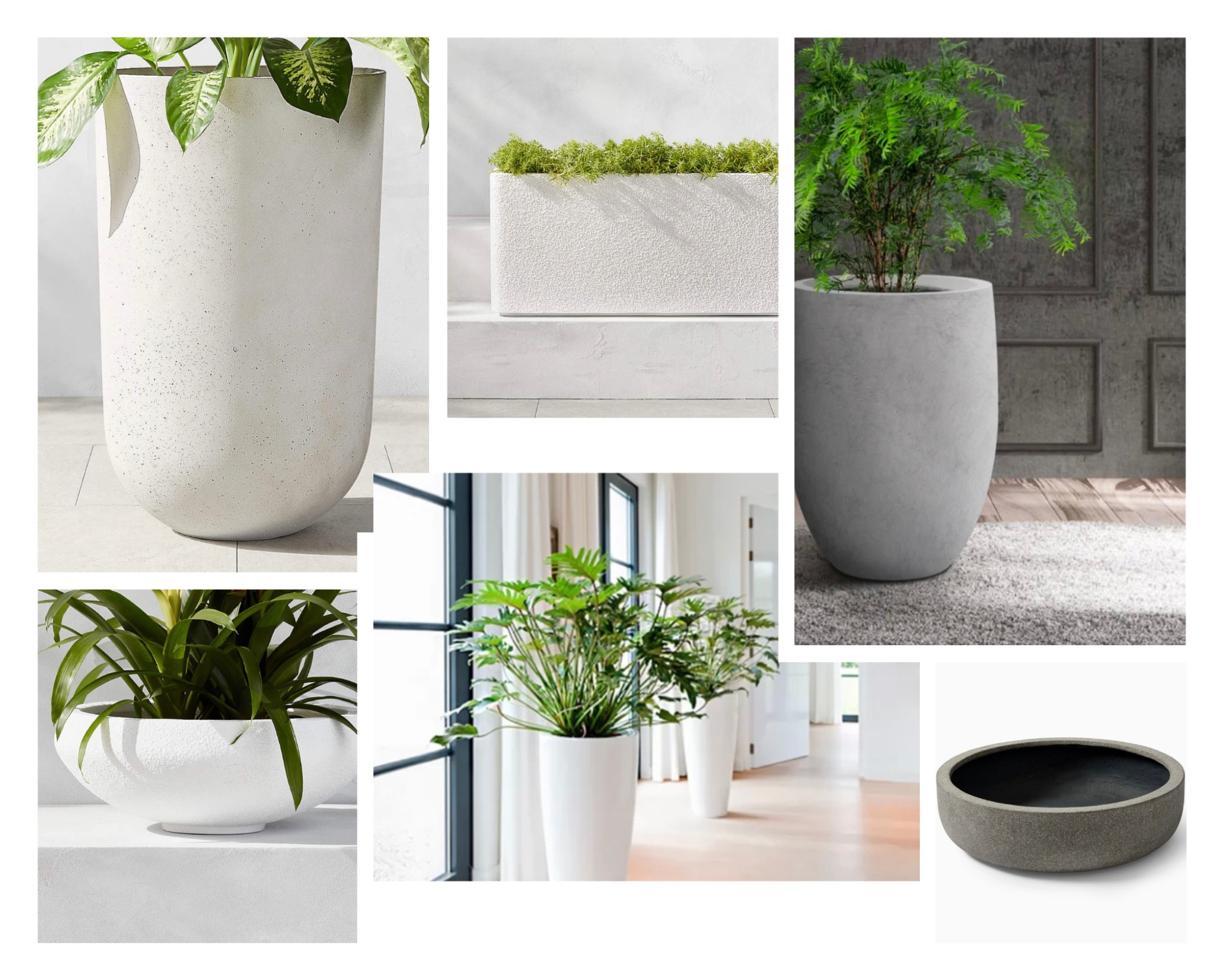 Planters Home Decor 

#LTKhome #LTKFind