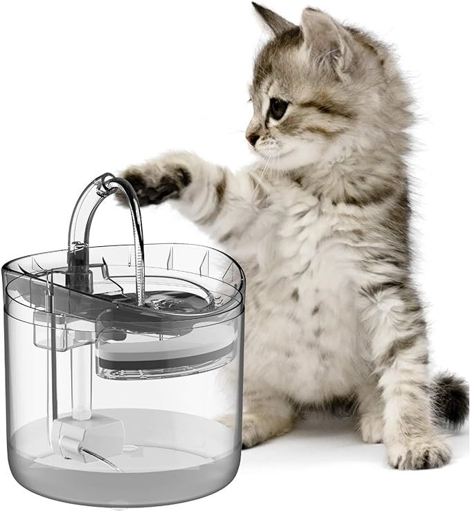 LORDWEY Cat Fountain Pet Dog Water Dispenser,Clear Large Filtered Cats Drinking Fountains 1.8L,Au... | Amazon (US)