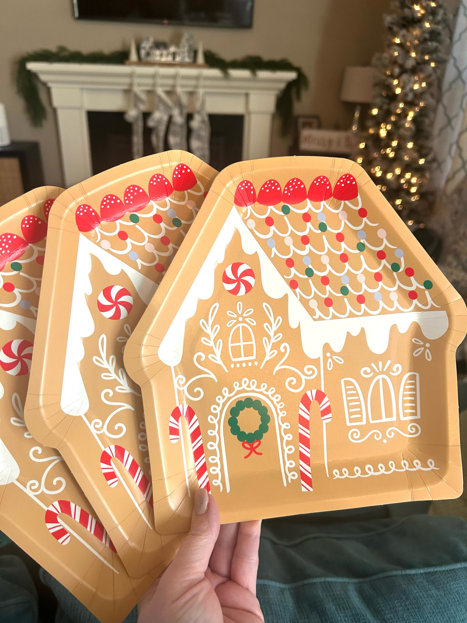 These gingerbread plates are SO cute! 🥰✨🎄

#LTKHome #LTKHoliday