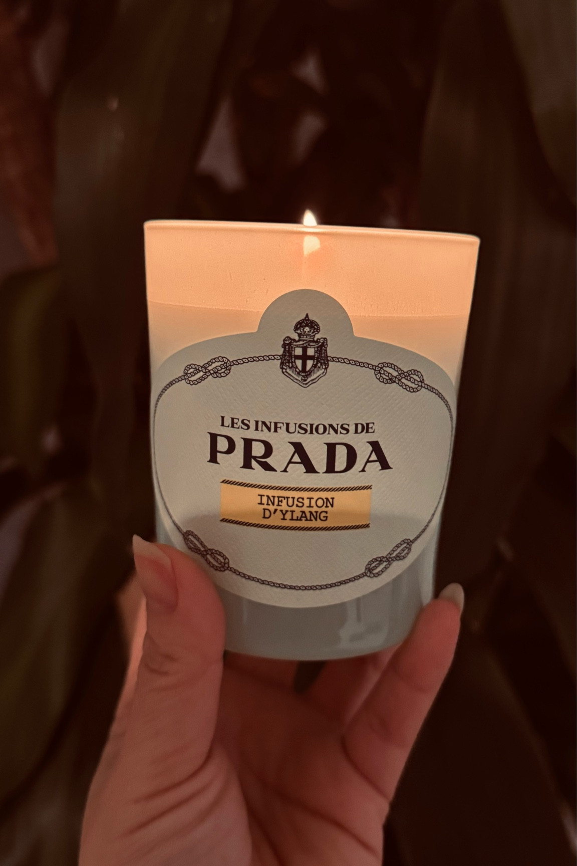 Smells divine! 
Notes: Ylang-Ylang, Bergamot, Cardamom, Sandalwood

#LTKHoliday #LTKSeasonal #LTKHome