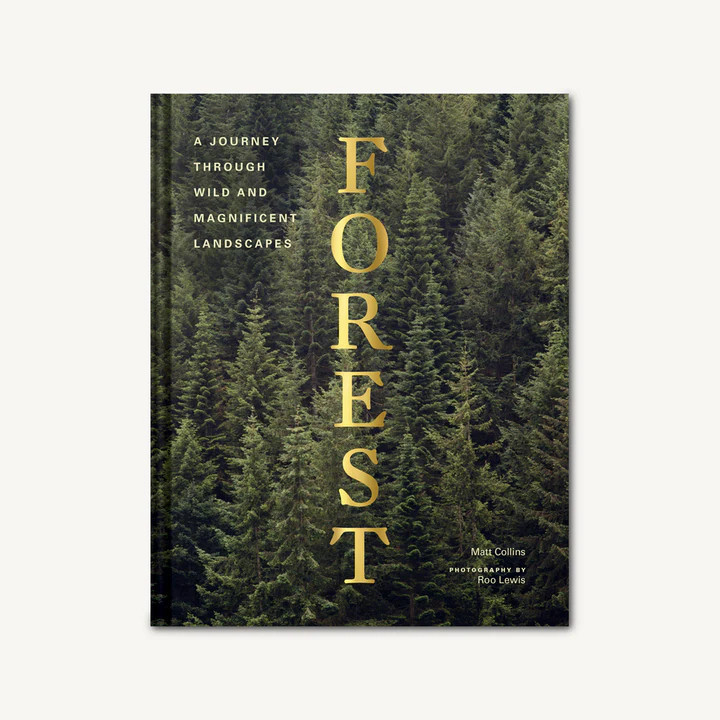 Forest by Matt Collins | Burke Decor