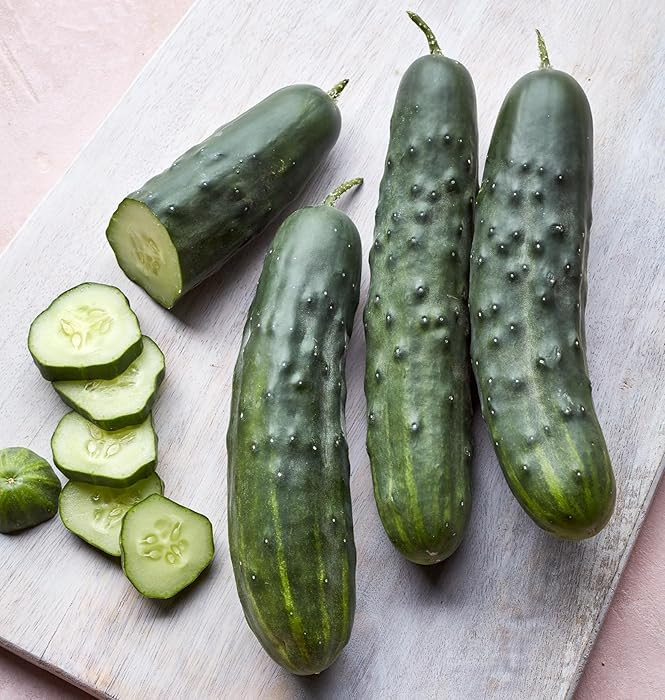 Burpee 'Marketmore 76' Slicing Cucumber Seeds, 125 Non-GMO seeds, Heirloom | Amazon (US)