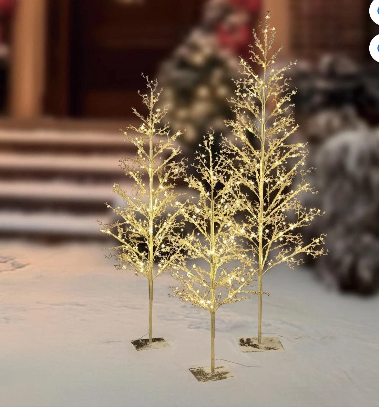 My Texas house twinkle Christmas trees 

#LTKSeasonal #LTKHome