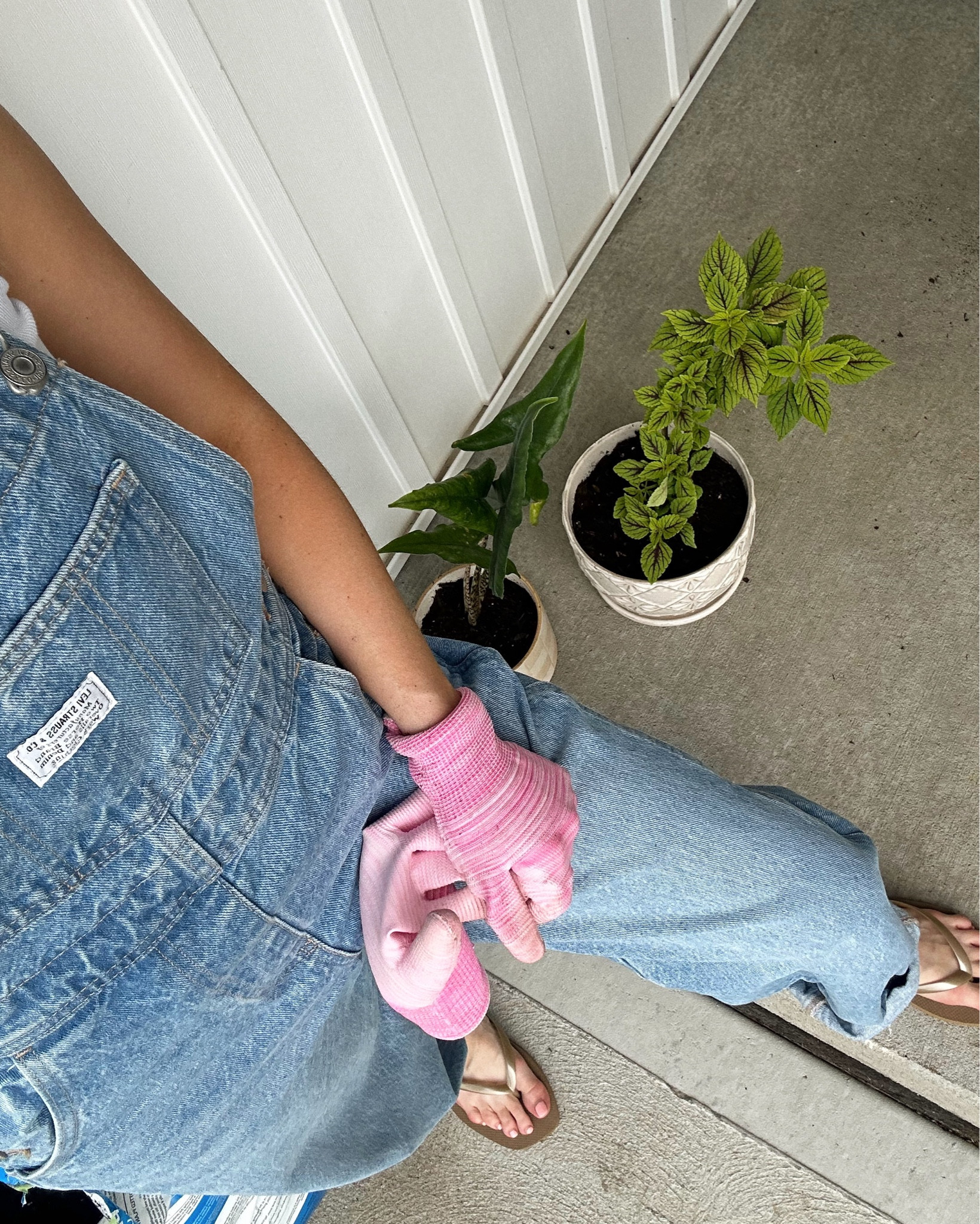 gardening faves + plant pots I’m loving 

#LTKU #LTKStyleTip #LTKHome