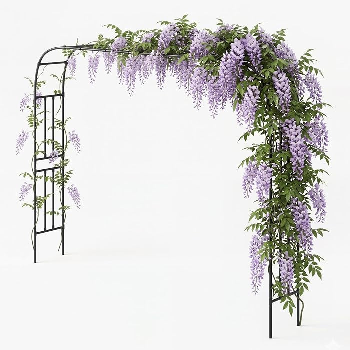 Garden Arch Trellis 126"x94.5", PE-Coated Rust Proof Metal Arbors for Climbing Plants Outdoor, Fr... | Amazon (US)