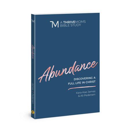 A Thrive Moms Bible Study: Abundance : Discovering a Full Life in Christ (Paperback) | Walmart (US)