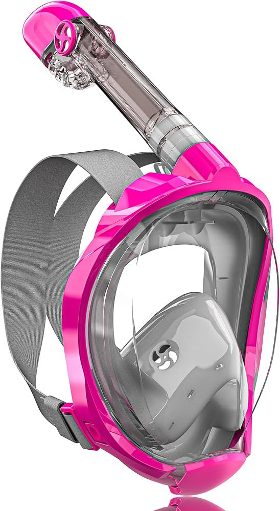 QingSong Full Face Snorkel Mask for Adults, Snorkeling Gear with Camera Mount, Foldable 180 Degre... | Amazon (US)
