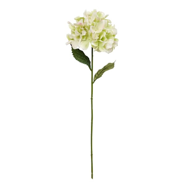 Green Hydrangea Stem, 27" | At Home