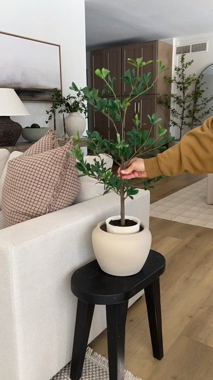 The perfect little accent tree from target

#LTKHome #LTKSeasonal