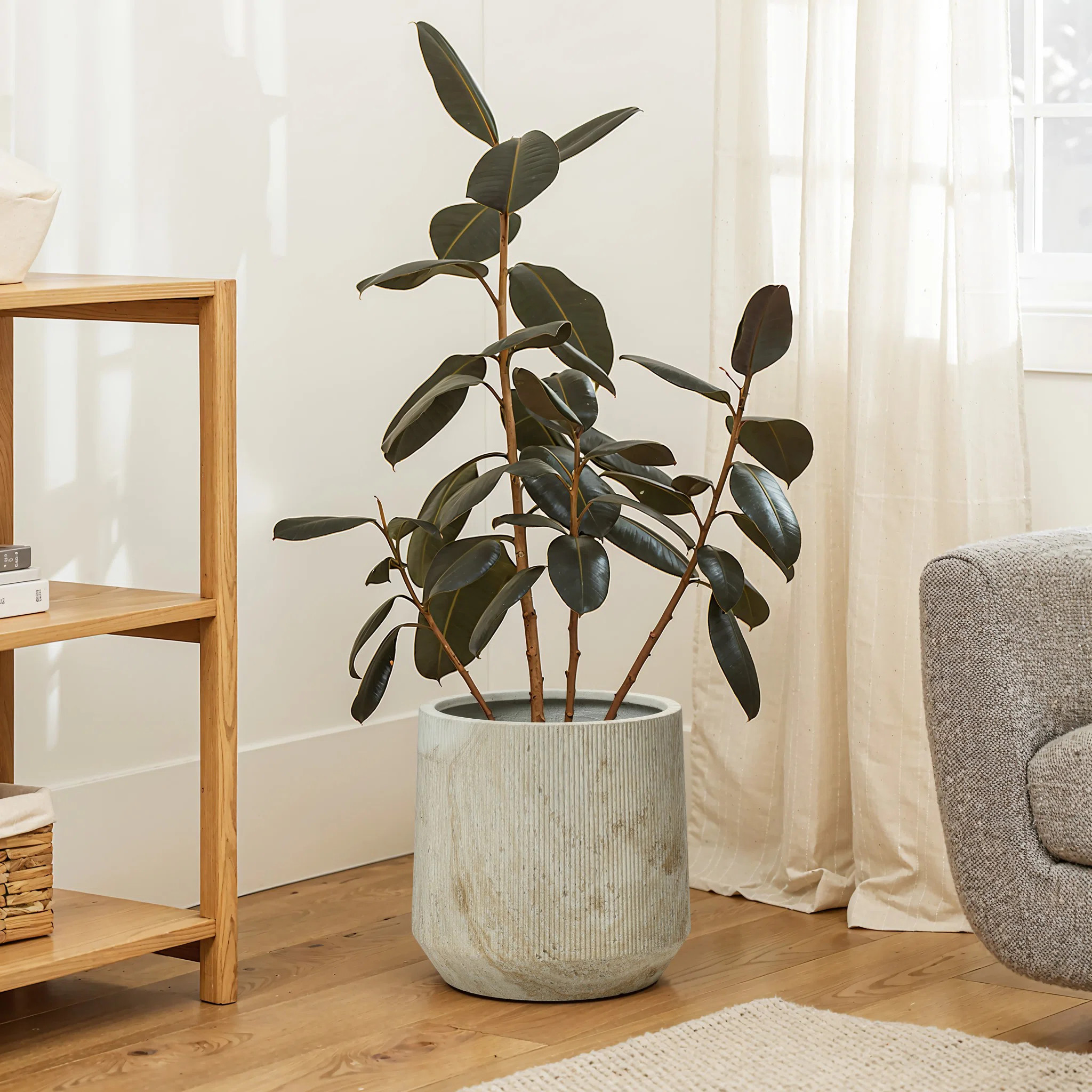 2-Piece Marble White with Brown Ribbons Texture MgO Planter Set, Indoor and Outdoor (Set of 2) | Wayfair North America