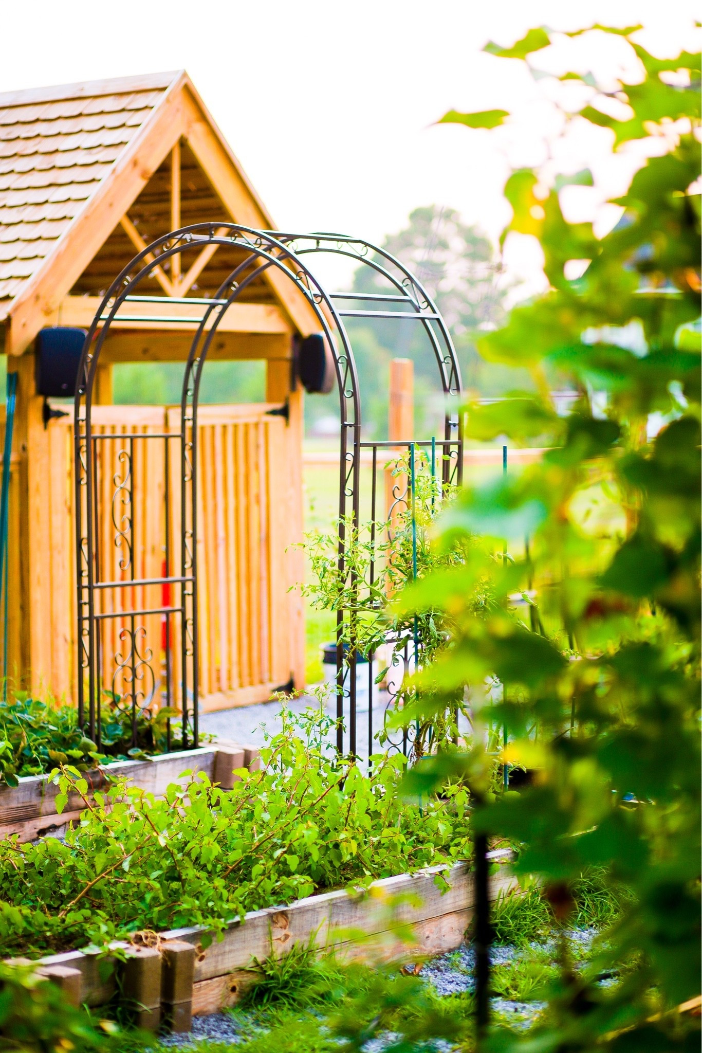 Plow & Hearth garden arbors! 🪴👩‍🌾
@plowandhearth

#LTKHome #LTKSeasonal #LTKdayinmylife