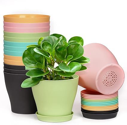 homenote Plant Pots, Set of 15 Plastic Planters with Multiple Drainage Holes and Tray 6 inch Indo... | Amazon (US)