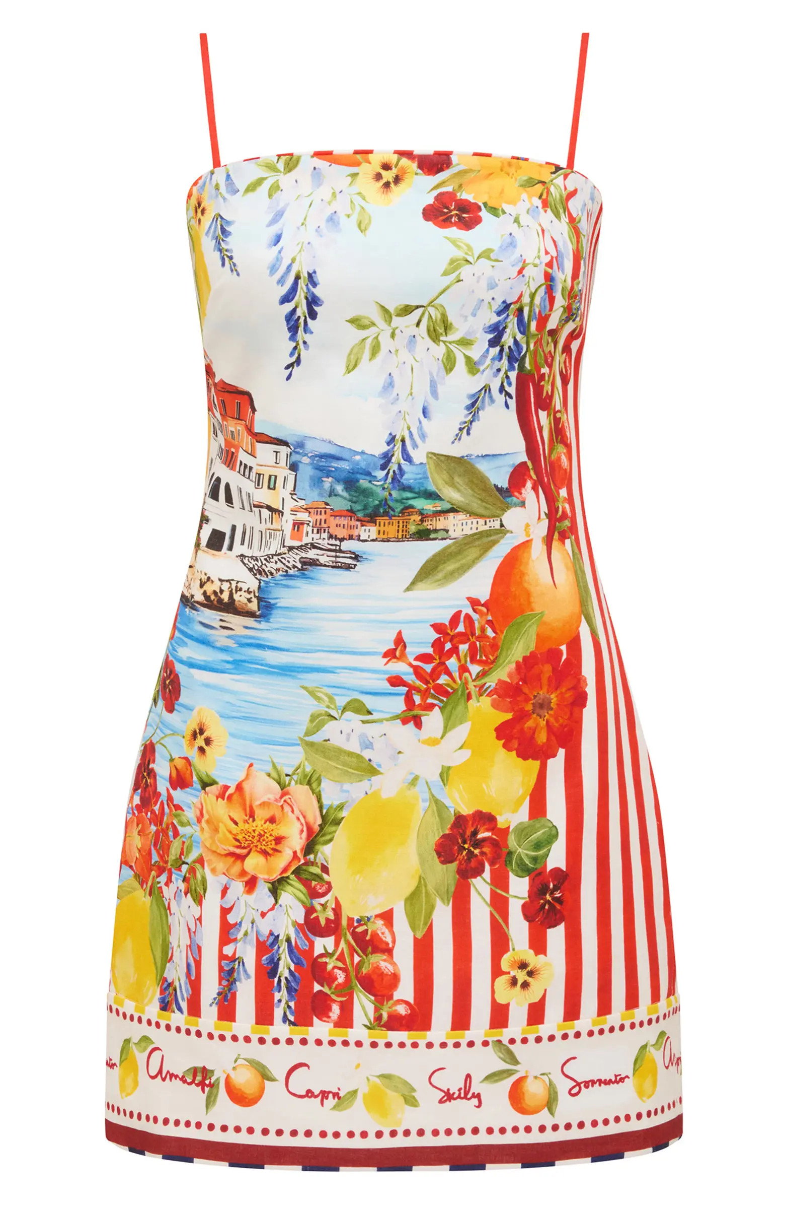 Ever New Sierra Printed Minidress | Nordstrom | Nordstrom