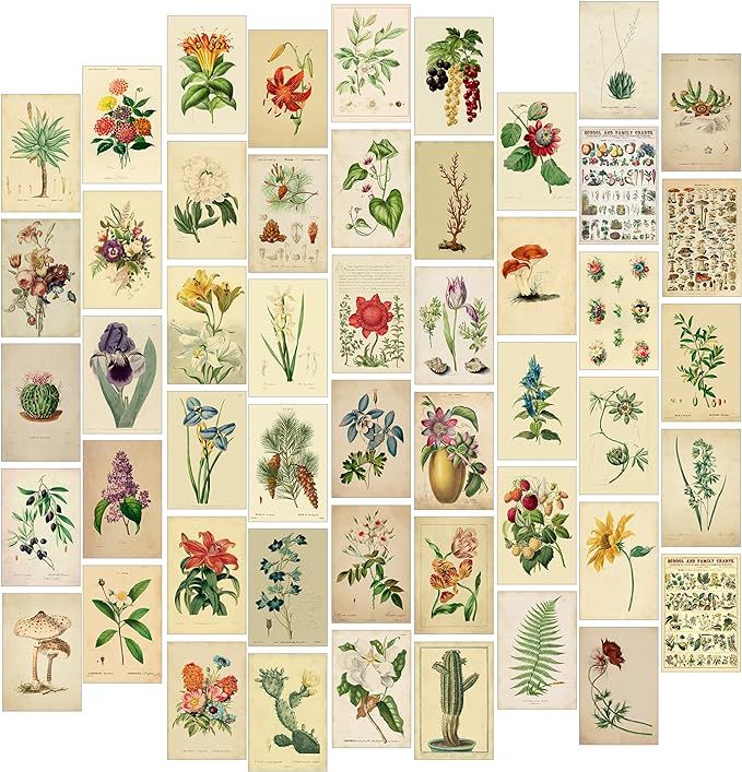 Witchy Home Decor, Aesthetic Vintage Botanical Decor Prints, 50pcs Vintage Botanical Wall Art, Ae... | Amazon (US)