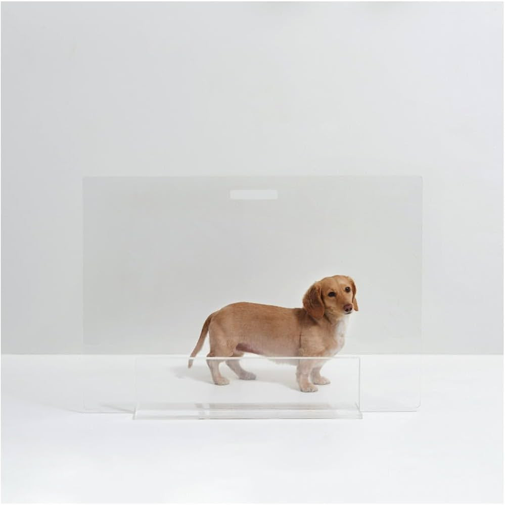 Hiddin Clear Freestanding Lucite Pet Gate Panel, 8" L X 36" W X 30" H | Amazon (US)