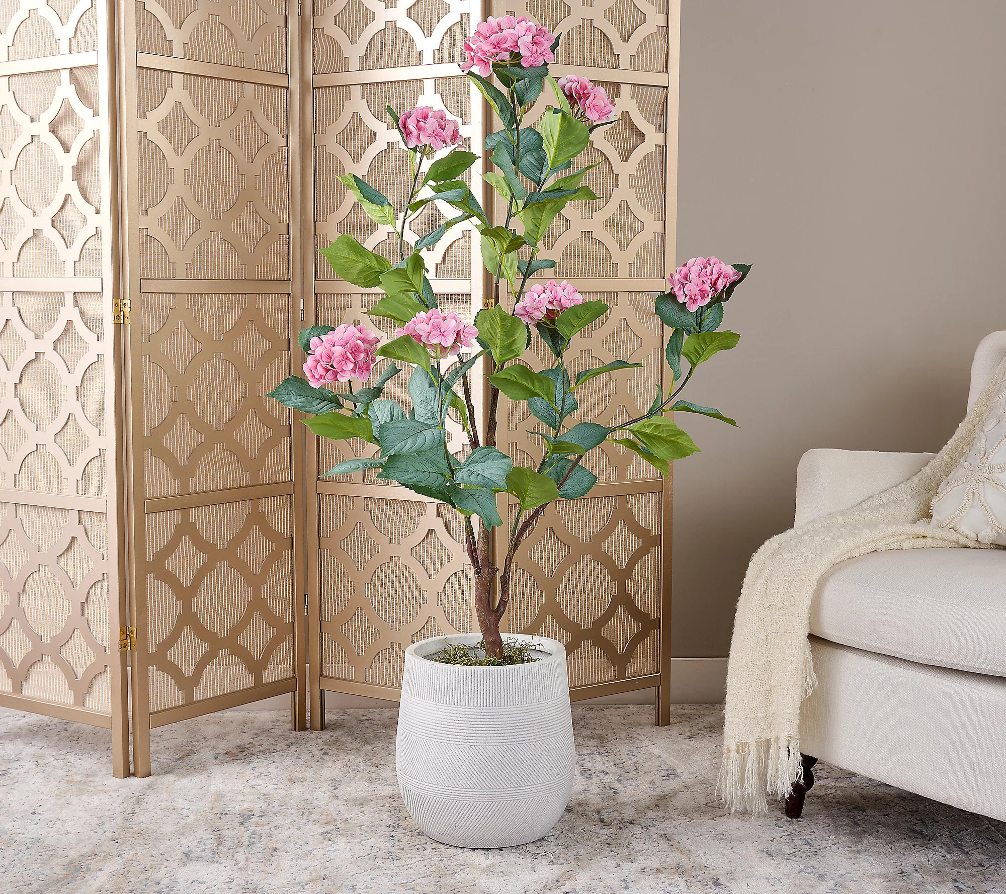 4' Hydrangea Bush in Pot by Valerie | QVC