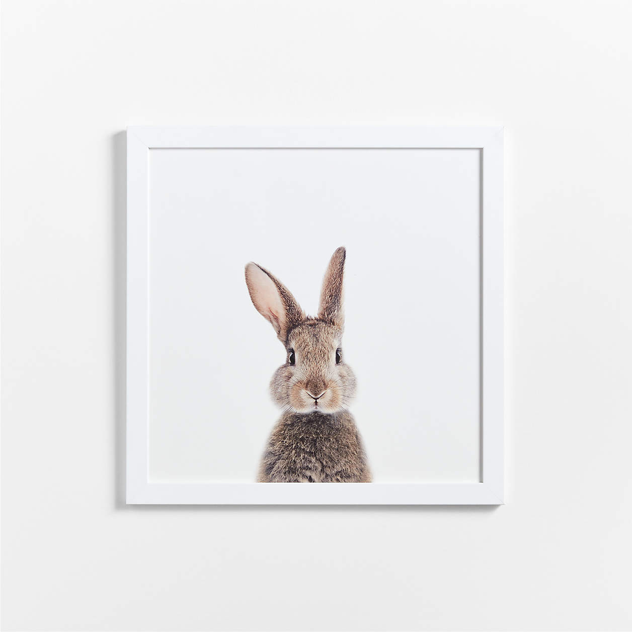 Baby Bunny Framed Wall Art Print + Reviews | Crate & Kids | Crate & Barrel