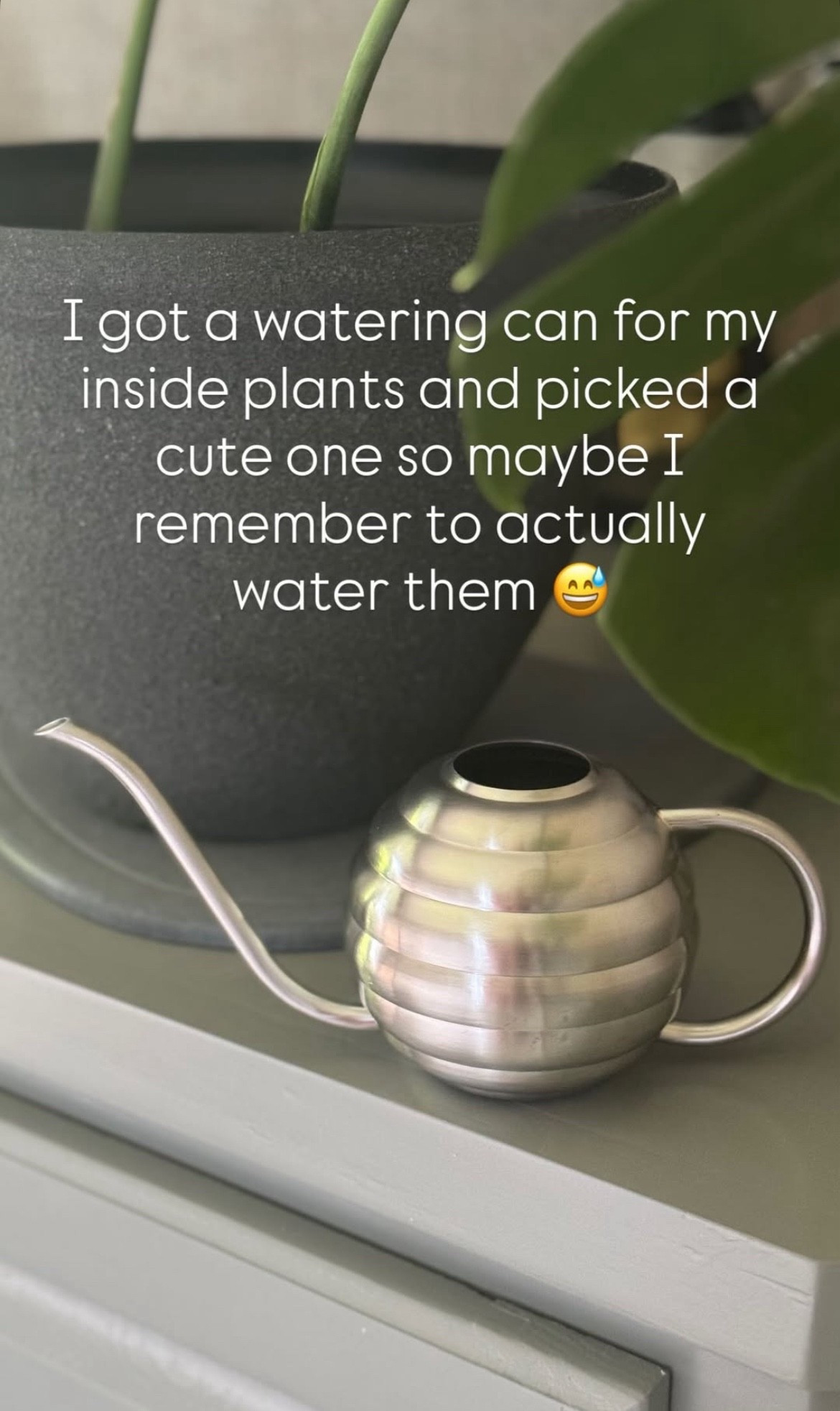Picked out a cute watering can for my inside plants so maybe I actually remember to water them 😅 

#LTKFindsUnder100 #LTKFindsUnder50 #LTKHome