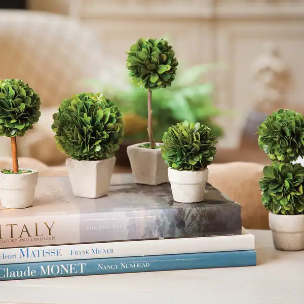 Boxwood Mini Topiaries In Pots, Set Of 5 - Bed Bath & Beyond - 33008384 | Bed Bath & Beyond