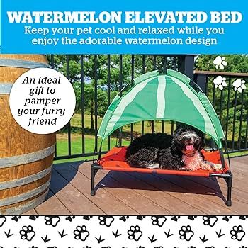 BigMouth Inc. Watermelon Elevated Bed for Dogs Large | Amazon (US)