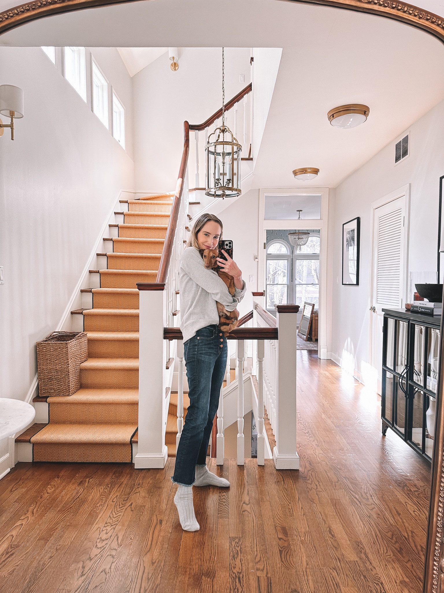 Hello from Kelly + her injured sausage dog